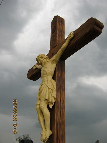 Image50