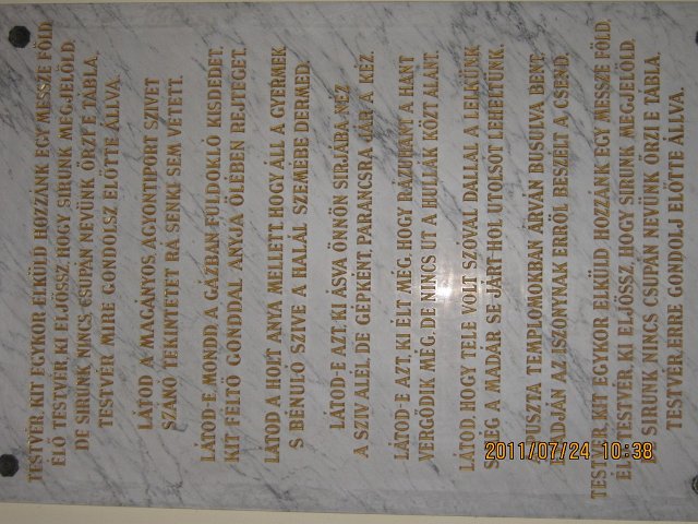 Image08